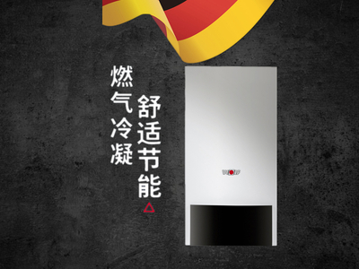 沃乐夫燃气壁挂炉 CGB