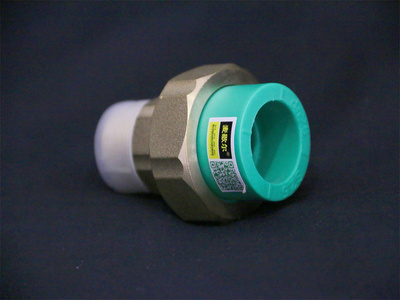 麦歇尔外牙活接