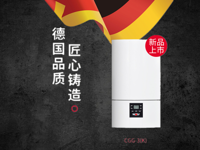 沃乐夫燃气壁挂炉 CGG3或3K